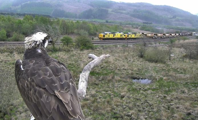 Storm damage to the Cambrian Coast line